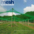 Agricultural sun shade net and anti hail net